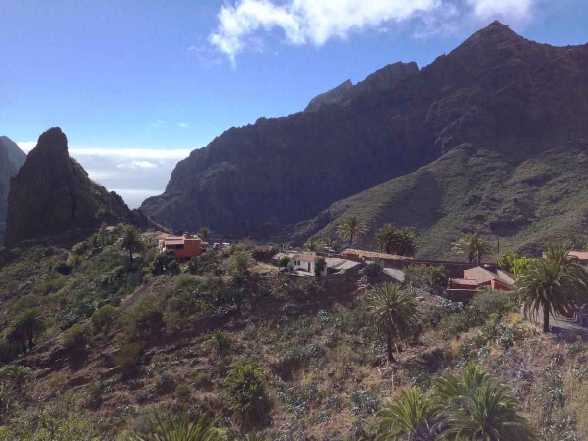 Wifi Tenerife Sur Guest House Granadilla De Abona Esterno foto